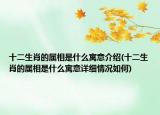 十二生肖的屬相是什么寓意介紹(十二生肖的屬相是什么寓意詳細(xì)情況如何)