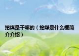 挖煤是干嘛的（挖煤是什么梗簡(jiǎn)介介紹）