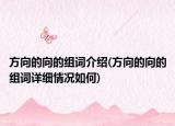 方向的向的組詞介紹(方向的向的組詞詳細(xì)情況如何)