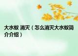 大水蟻 消滅（怎么消滅大水蟻簡(jiǎn)介介紹）