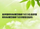 皇家橡樹和縱橫四海哪個好介紹(皇家橡樹和縱橫四海哪個好詳細情況如何)