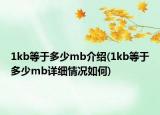 1kb等于多少mb介紹(1kb等于多少mb詳細(xì)情況如何)