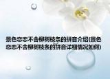 景色戀戀不舍柳樹枝條的拼音介紹(景色戀戀不舍柳樹枝條的拼音詳細(xì)情況如何)
