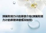 彈簧稱測(cè)力計(jì)的原理介紹(彈簧稱測(cè)力計(jì)的原理詳細(xì)情況如何)