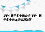 1英寸等于多少米介紹(1英寸等于多少米詳細情況如何)