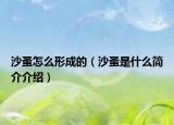 沙蚤怎么形成的（沙蚤是什么簡(jiǎn)介介紹）