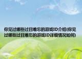 你見過哪些過目難忘的游戲ID介紹(你見過哪些過目難忘的游戲ID詳細情況如何)