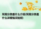 耳聾分類是什么介紹(耳聾分類是什么詳細(xì)情況如何)