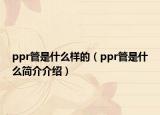 ppr管是什么樣的（ppr管是什么簡(jiǎn)介介紹）