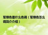 軍綠色是什么色調(diào)（軍綠色怎么調(diào)簡(jiǎn)介介紹）