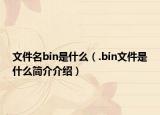 文件名bin是什么（.bin文件是什么簡(jiǎn)介介紹）