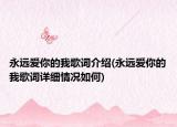 永遠愛你的我歌詞介紹(永遠愛你的我歌詞詳細情況如何)