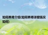 如何養(yǎng)腎介紹(如何養(yǎng)腎詳細(xì)情況如何)