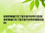如果把蝙蝠打死了是不是不好呀介紹(如果把蝙蝠打死了是不是不好呀詳細(xì)情況如何)