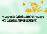vivoy66怎么隱藏應(yīng)用介紹(vivoy66怎么隱藏應(yīng)用詳細(xì)情況如何)