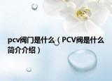 pcv閥門是什么（PCV閥是什么簡(jiǎn)介介紹）