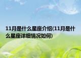 11月是什么星座介紹(11月是什么星座詳細(xì)情況如何)