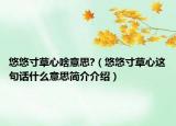 悠悠寸草心啥意思?（悠悠寸草心這句話什么意思簡(jiǎn)介介紹）