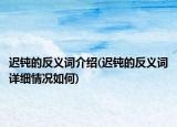 遲鈍的反義詞介紹(遲鈍的反義詞詳細(xì)情況如何)