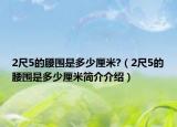 2尺5的腰圍是多少厘米?（2尺5的腰圍是多少厘米簡(jiǎn)介介紹）