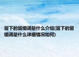 留下的留組詞是什么介紹(留下的留組詞是什么詳細情況如何)