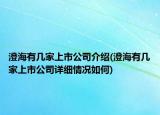澄海有幾家上市公司介紹(澄海有幾家上市公司詳細情況如何)