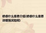修睿什么意思介紹(修睿什么意思詳細(xì)情況如何)