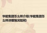 華能集團(tuán)怎么樣介紹(華能集團(tuán)怎么樣詳細(xì)情況如何)