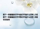 撒下一陣暖暖的叮嚀中的叮嚀是什么意思_介紹 撒下一陣暖暖的叮嚀中的叮嚀是什么意思_詳細(xì)情況如何