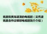 姚晨和黃海波演的電視?。▍切悴ㄒΤ亢献鬟^哪部電視劇簡介介紹）