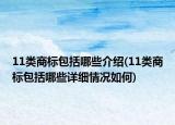11類(lèi)商標(biāo)包括哪些介紹(11類(lèi)商標(biāo)包括哪些詳細(xì)情況如何)