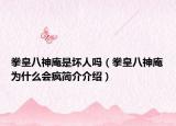 拳皇八神庵是壞人嗎（拳皇八神庵為什么會瘋簡介介紹）