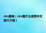 ckn是啥（ckn是什么意思中文簡介介紹）