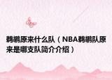 鵜鶘原來什么隊（NBA鵜鶘隊原來是哪支隊簡介介紹）