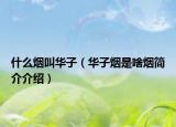 什么煙叫華子（華子煙是啥煙簡介介紹）