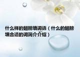 什么樣的翅膀填詞語（什么的翅膀填合適的詞簡介介紹）