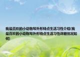 我最喜歡的小動物寫外形特點(diǎn)生活習(xí)性介紹(我最喜歡的小動物寫外形特點(diǎn)生活習(xí)性詳細(xì)情況如何)