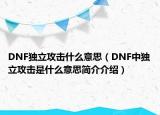 DNF獨立攻擊什么意思（DNF中獨立攻擊是什么意思簡介介紹）