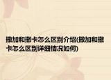 撒加和撒卡怎么區(qū)別介紹(撒加和撒卡怎么區(qū)別詳細(xì)情況如何)