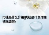 肉桂是什么介紹(肉桂是什么詳細(xì)情況如何)
