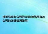 神筆馬良怎么死的介紹(神筆馬良怎么死的詳細(xì)情況如何)