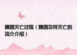 魏國(guó)滅亡過(guò)程（魏國(guó)怎樣滅亡的簡(jiǎn)介介紹）