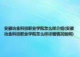 安徽冶金科技職業(yè)學(xué)院怎么樣介紹(安徽冶金科技職業(yè)學(xué)院怎么樣詳細(xì)情況如何)