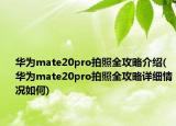 華為mate20pro拍照全攻略介紹(華為mate20pro拍照全攻略詳細(xì)情況如何)