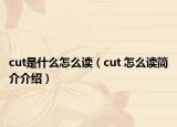 cut是什么怎么讀（cut 怎么讀簡介介紹）