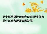 盡字部首是什么偏旁介紹(盡字部首是什么偏旁詳細(xì)情況如何)