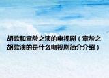 胡歌和章齡之演的電視?。ㄕ慢g之胡歌演的是什么電視劇簡介介紹）
