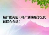 楊廣的死因（楊廣到底是怎么死的簡介介紹）