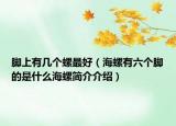 腳上有幾個(gè)螺最好（海螺有六個(gè)腳的是什么海螺簡(jiǎn)介介紹）