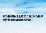 木馬愛你是什么意思介紹(木馬愛你是什么意思詳細(xì)情況如何)